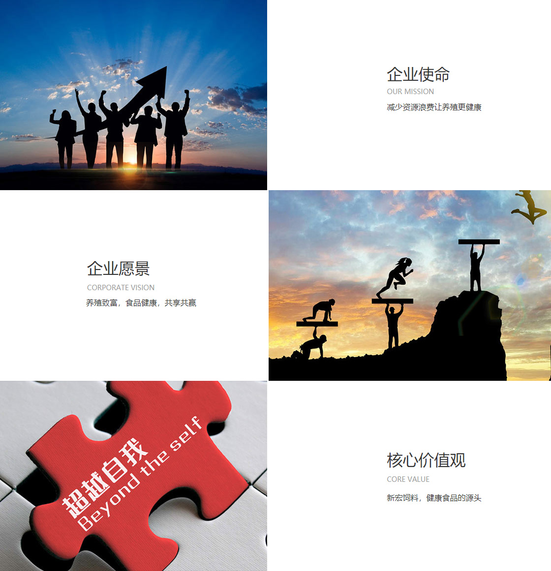 抓饭直播网球在线观看(图1)